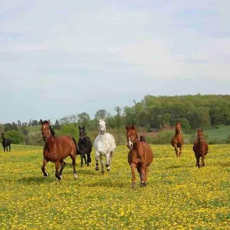 Сasa de vacaciones Gemütliches Mobilheim Auf Bauernhof Langenselbold