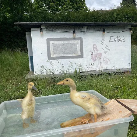 Gemuetliches Mobilheim Auf Bauernhof * Langenselbold