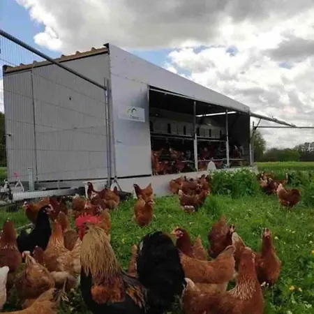 Dom wakacyjny Gemuetliches Mobilheim Auf Bauernhof *
