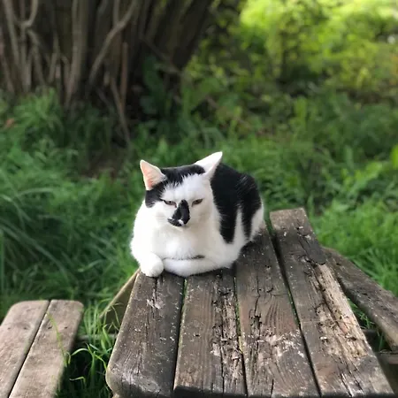 Gemuetliches Mobilheim Auf Bauernhof * Langenselbold