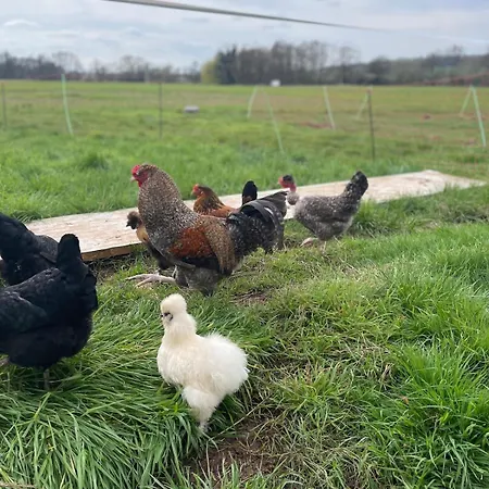 Gemuetliches Mobilheim Auf Bauernhof