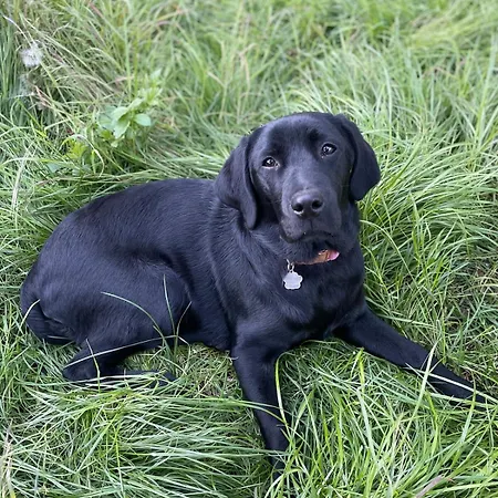 Gemütliches Mobilheim Auf Bauernhof Сasa de vacaciones *