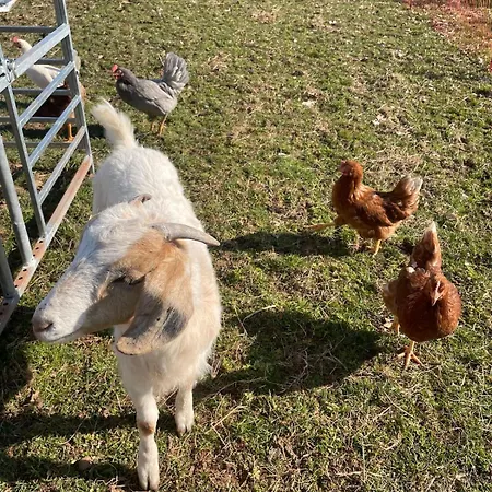 Gemütliches Mobilheim Auf Bauernhof Сasa de vacaciones