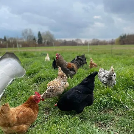 Dom wakacyjny Gemuetliches Mobilheim Auf Bauernhof Langenselbold
