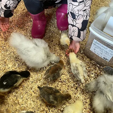 Gemütliches Mobilheim Auf Bauernhof Langenselbold