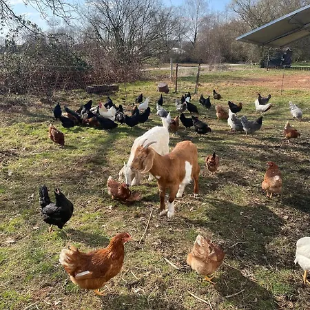 Сasa de vacaciones Gemütliches Mobilheim Auf Bauernhof *