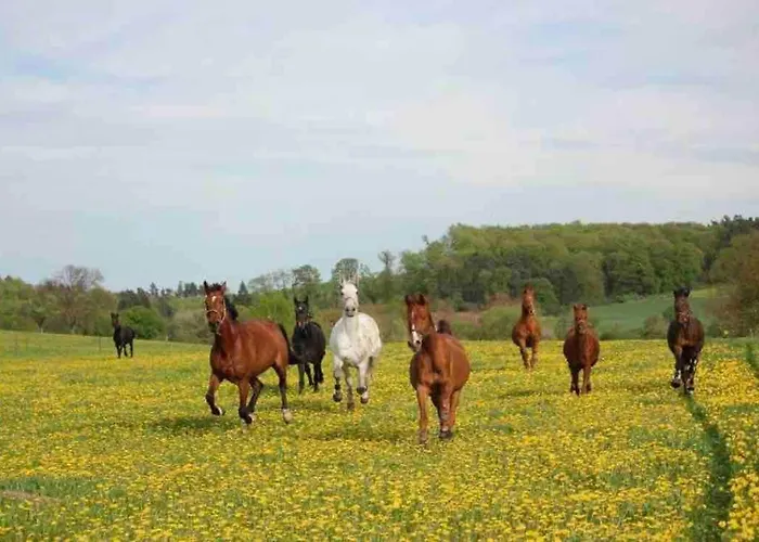 Prázdninový dům Gemuetliches Mobilheim Auf Bauernhof Langenselbold