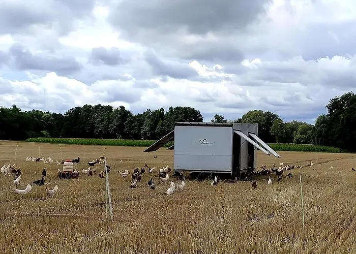 Prázdninový dům Gemuetliches Mobilheim Auf Bauernhof Langenselbold