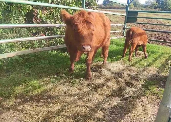 Gemuetliches Mobilheim Auf Bauernhof Prázdninový dům Langenselbold