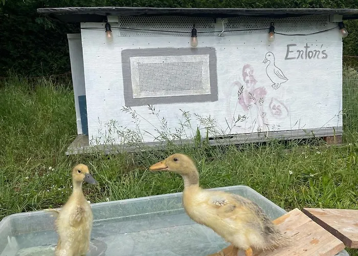 Gemuetliches Mobilheim Auf Bauernhof * Langenselbold