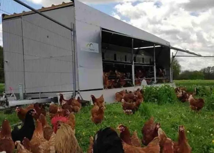 Prázdninový dům Gemuetliches Mobilheim Auf Bauernhof *