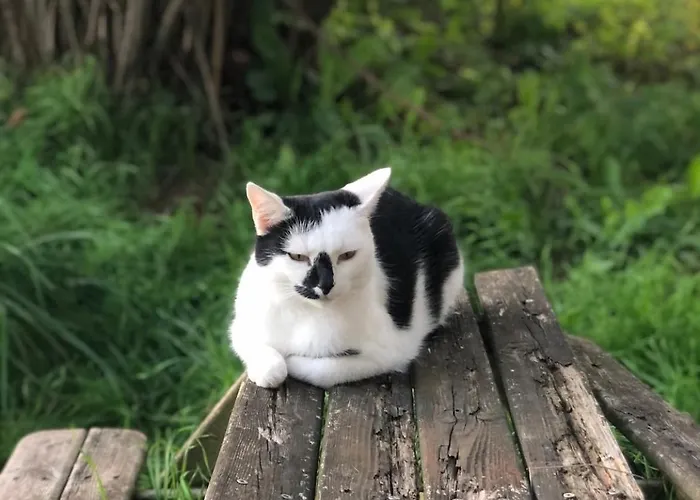 Gemuetliches Mobilheim Auf Bauernhof * Langenselbold