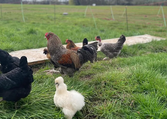 Gemuetliches Mobilheim Auf Bauernhof