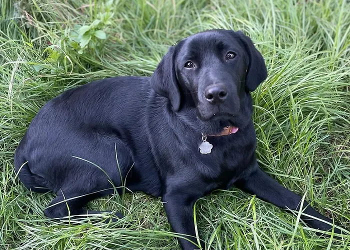 Gemuetliches Mobilheim Auf Bauernhof Prázdninový dům *
