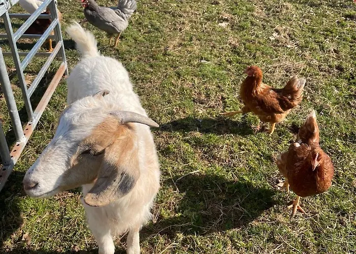 Gemuetliches Mobilheim Auf Bauernhof Prázdninový dům
