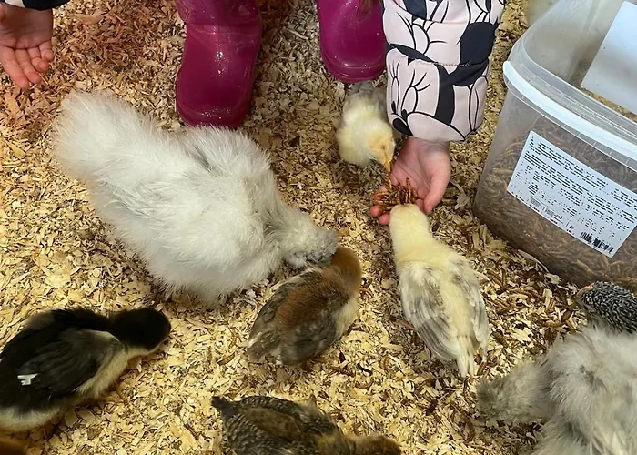 Gemuetliches Mobilheim Auf Bauernhof Langenselbold