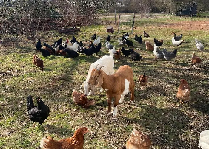 Prázdninový dům Gemuetliches Mobilheim Auf Bauernhof *