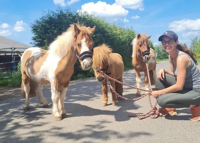 Gemuetliches Mobilheim Auf Bauernhof